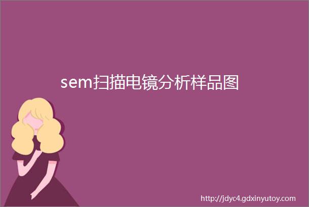 sem扫描电镜分析样品图