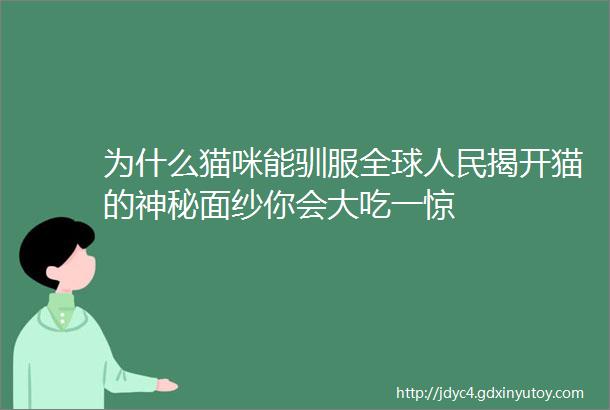 为什么猫咪能驯服全球人民揭开猫的神秘面纱你会大吃一惊