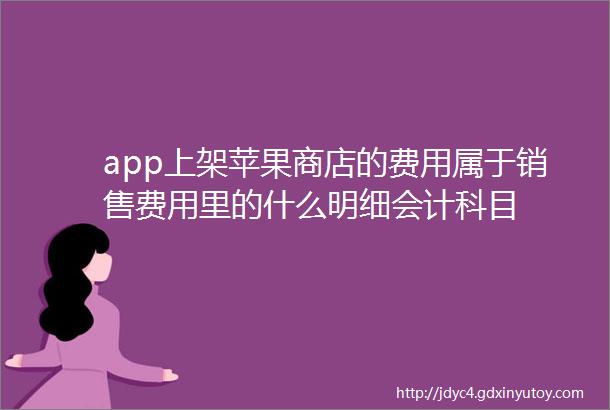 app上架苹果商店的费用属于销售费用里的什么明细会计科目