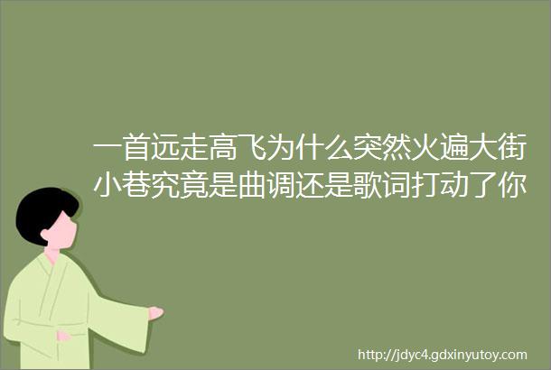 一首远走高飞为什么突然火遍大街小巷究竟是曲调还是歌词打动了你