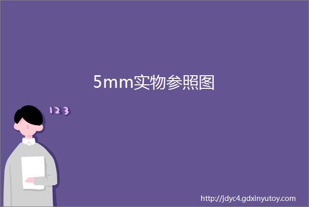 5mm实物参照图