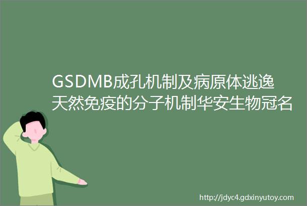 GSDMB成孔机制及病原体逃逸天然免疫的分子机制华安生物冠名赞助BioArt与一作面对面免疫篇第十二期